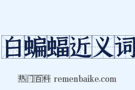 白蝙蝠近义词是什么意思的图片